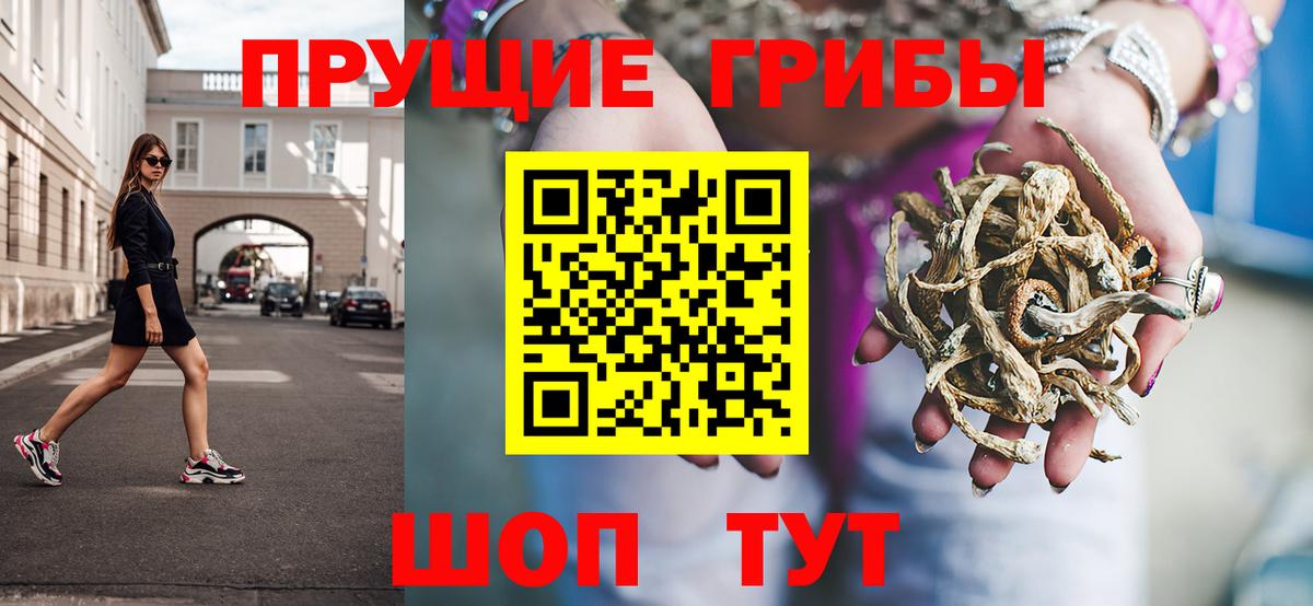 Галлюциногенные грибы Psilocybine cubensis  Псилоцибиновые грибы Cubensis  Вход с VPN  Вышний Волочёк 