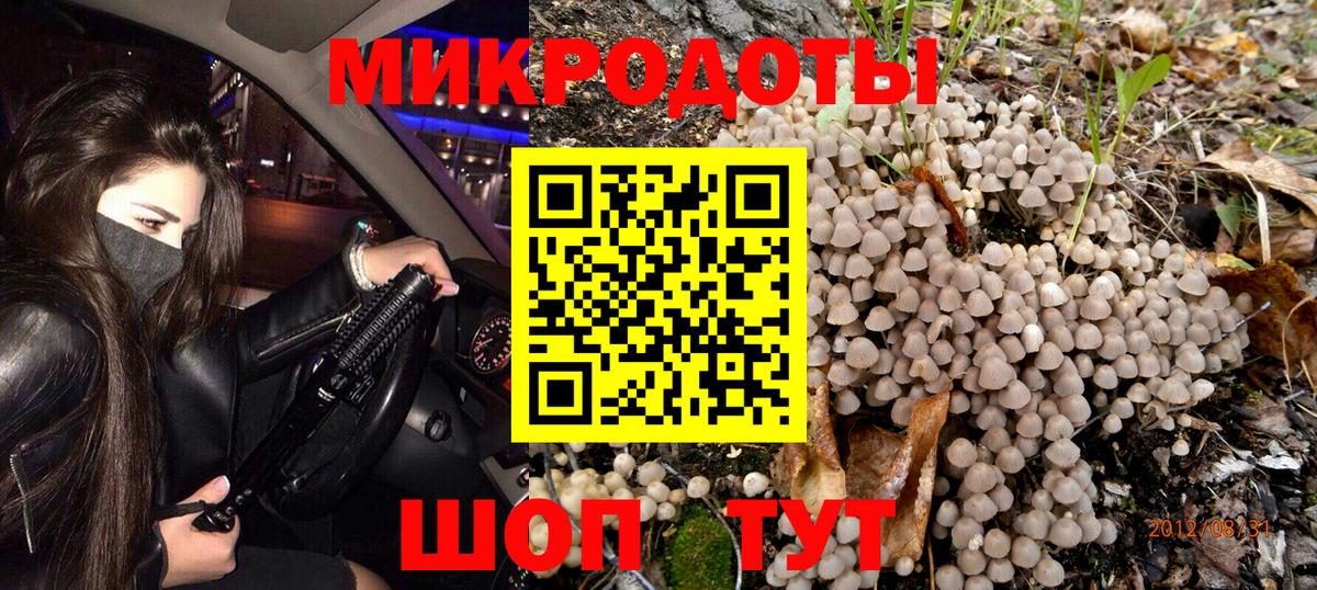 Псилоцибиновые грибы MAGIC MUSHROOMS Вышний Волочёк